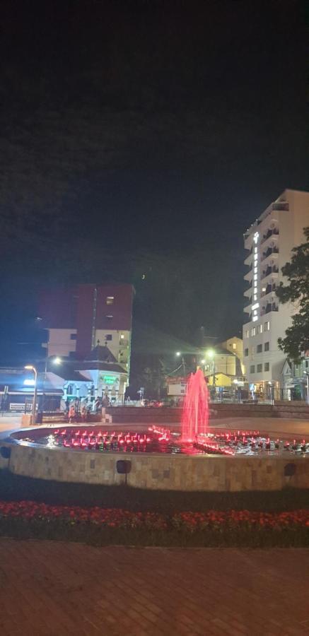 Rosa Villa Băile Olăneşti エクステリア 写真