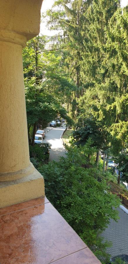 Rosa Villa Băile Olăneşti エクステリア 写真
