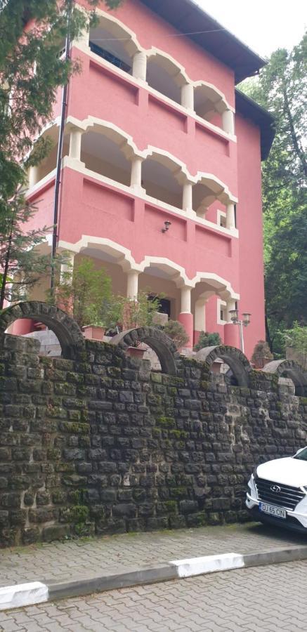 Rosa Villa Băile Olăneşti エクステリア 写真