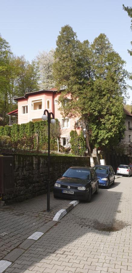 Rosa Villa Băile Olăneşti エクステリア 写真