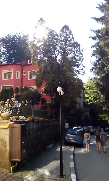 Rosa Villa Băile Olăneşti エクステリア 写真
