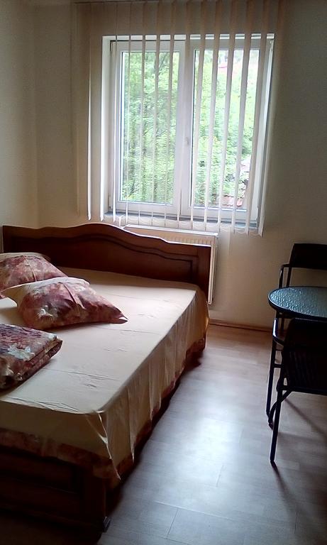 Rosa Villa Băile Olăneşti エクステリア 写真